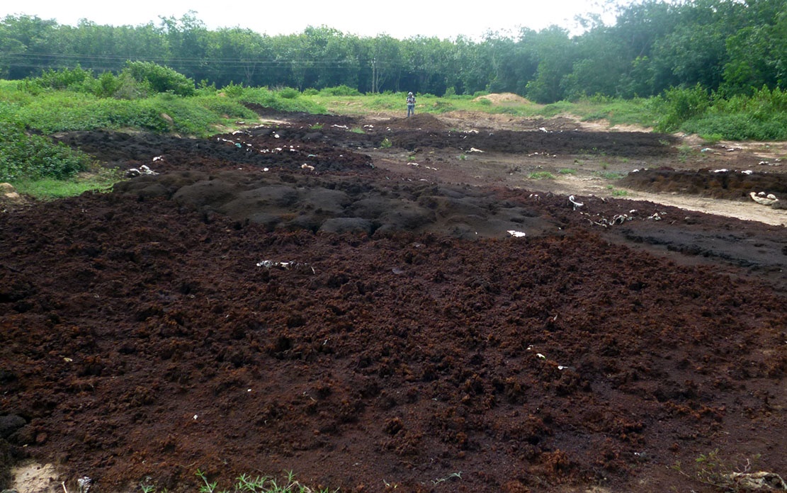 do trom bun thai trong lo cao su anh 1