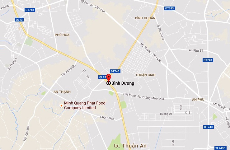 oto tong hang loat xe may anh 2