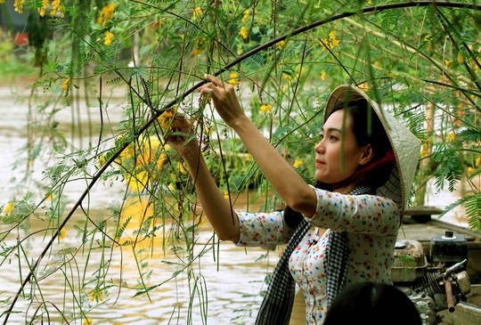 lu ve mien Tay anh 2