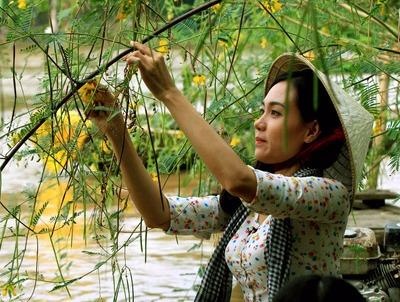 Lu ve, dan mien Tay nhu... song lai hinh anh