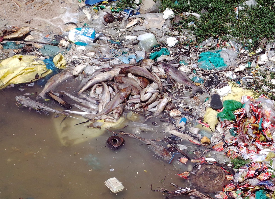 dem ca chet ra quoc lo anh 6