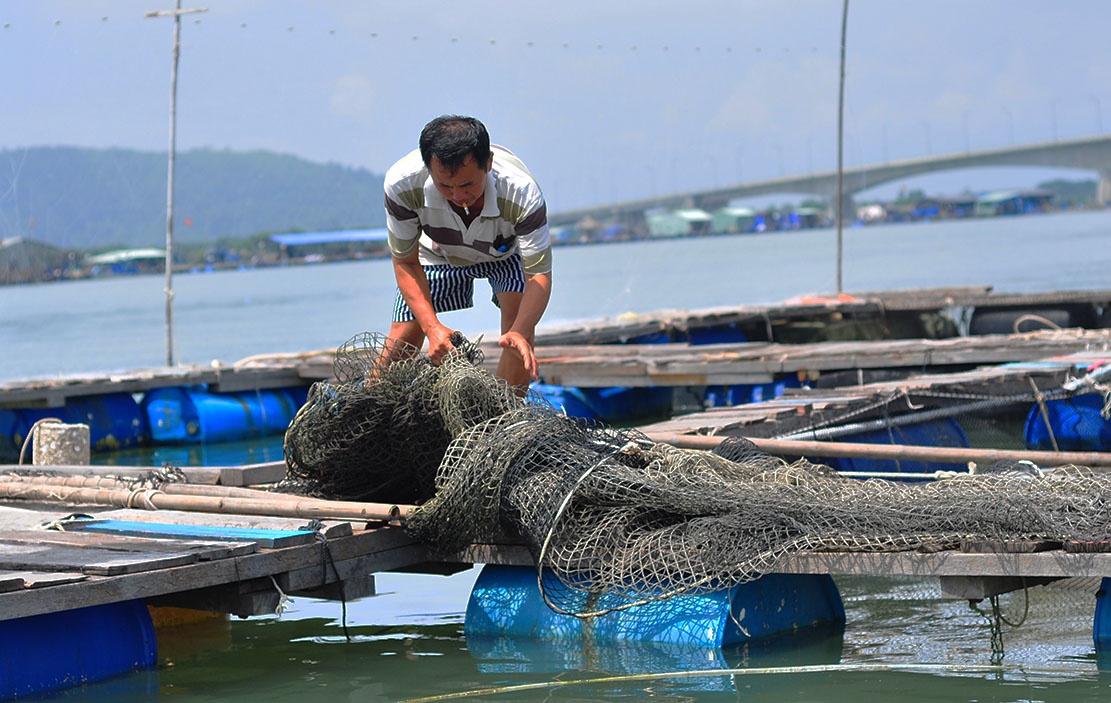 dem ca chet ra quoc lo anh 11