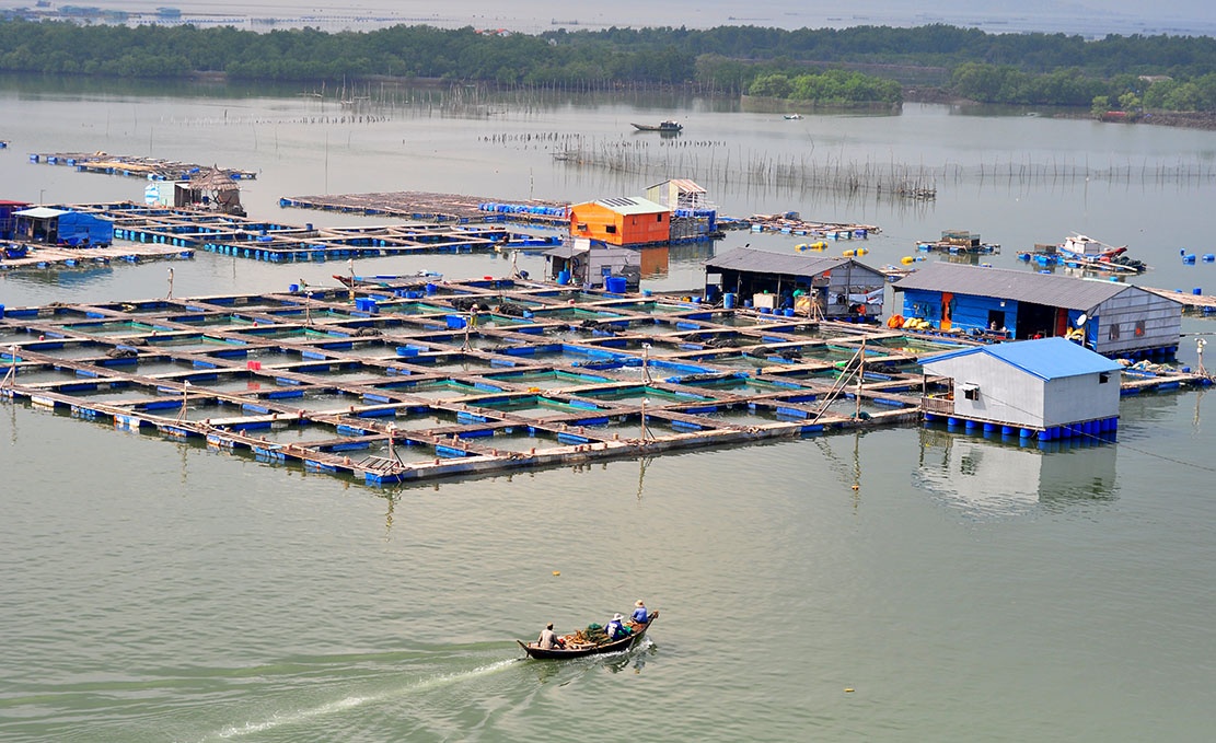 dem ca chet ra quoc lo anh 1