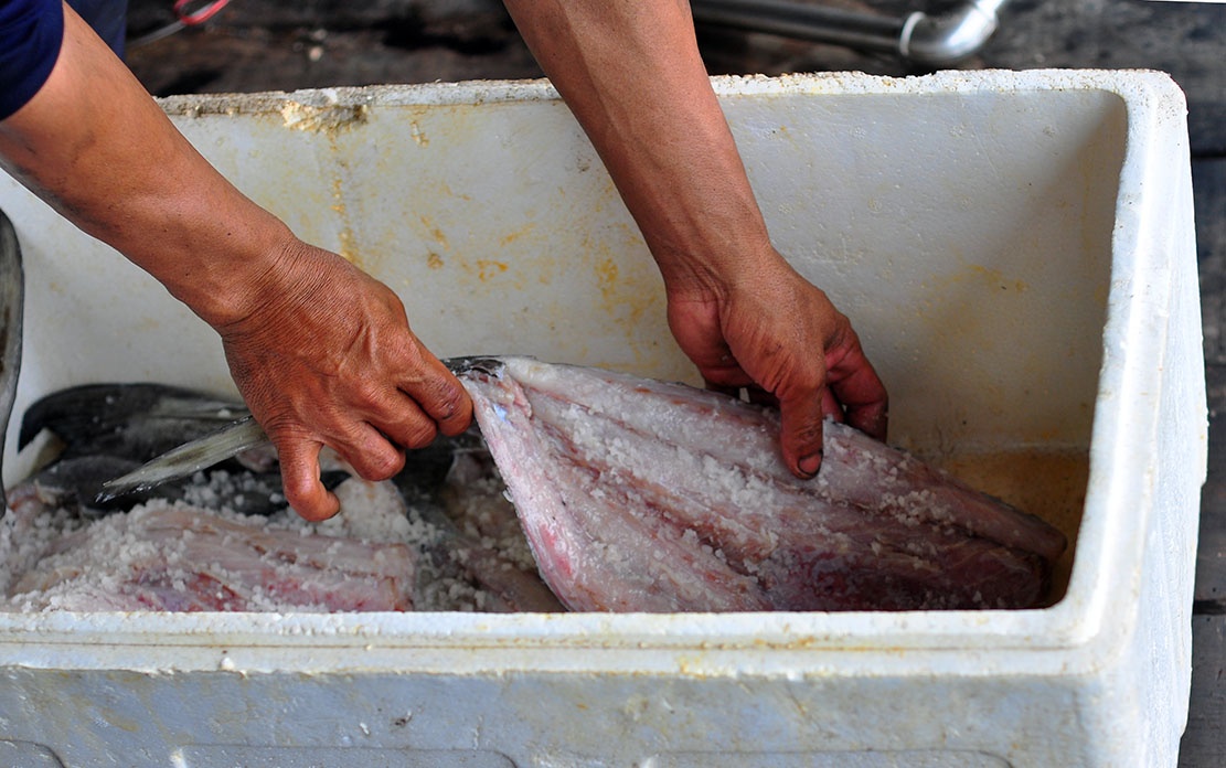 dem ca chet ra quoc lo anh 8