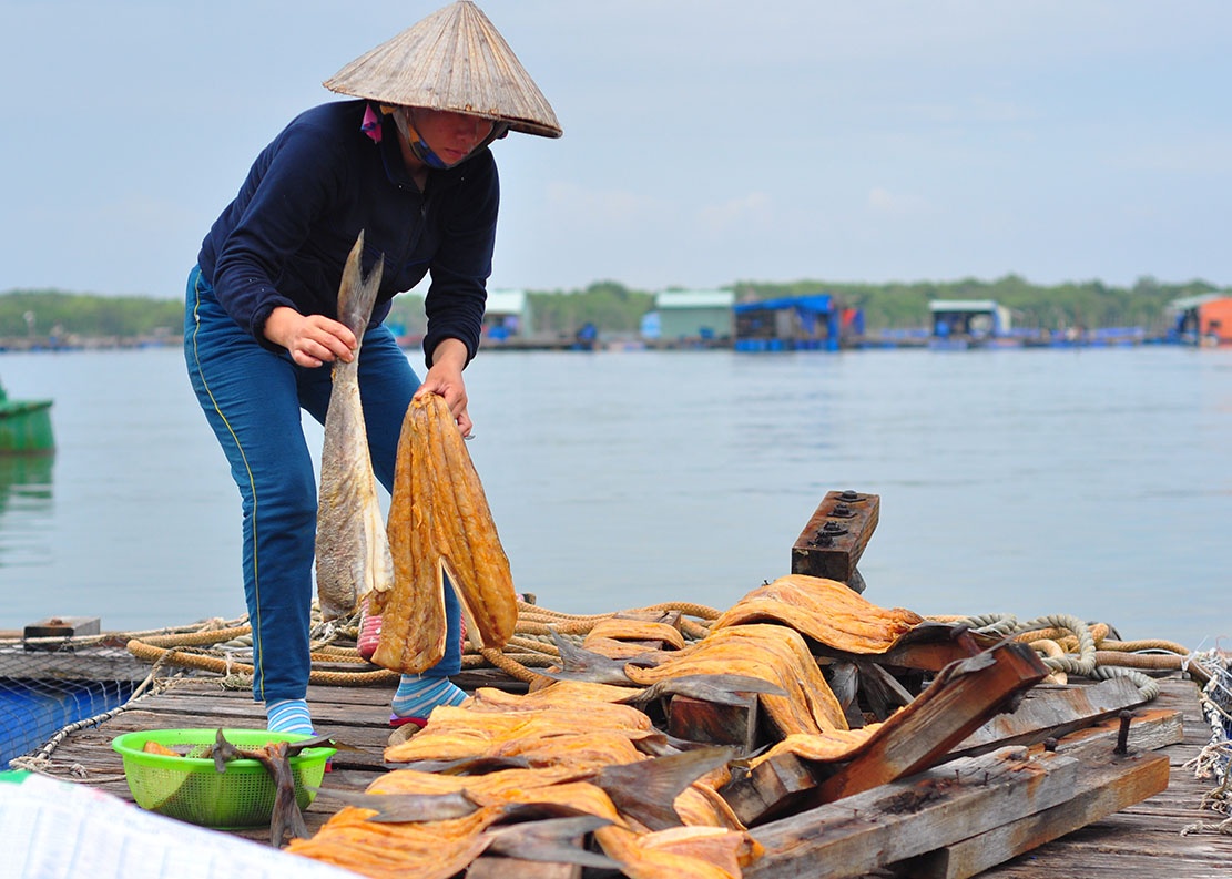 dem ca chet ra quoc lo anh 9