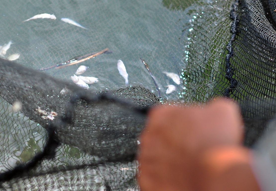 dem ca chet ra quoc lo anh 5