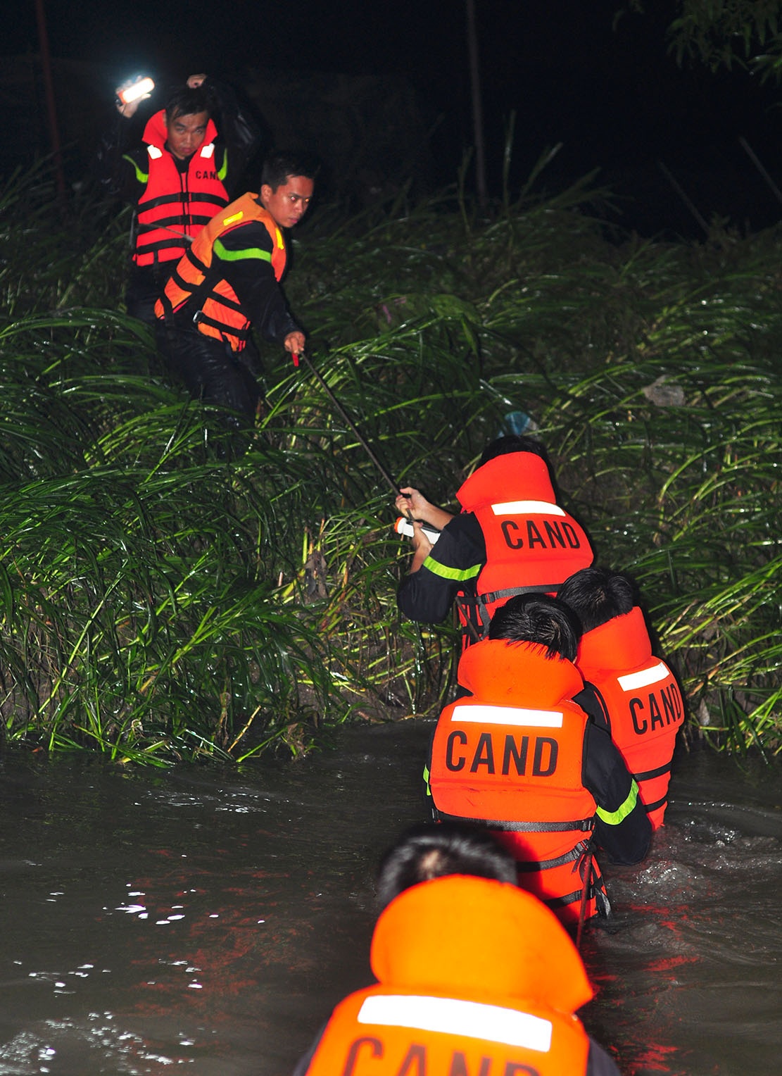 trang dem tim be trai mat tich anh 8