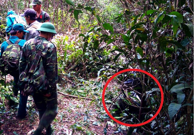 Chua xac dinh duoc nguyen nhan may bay truc thang roi hinh anh