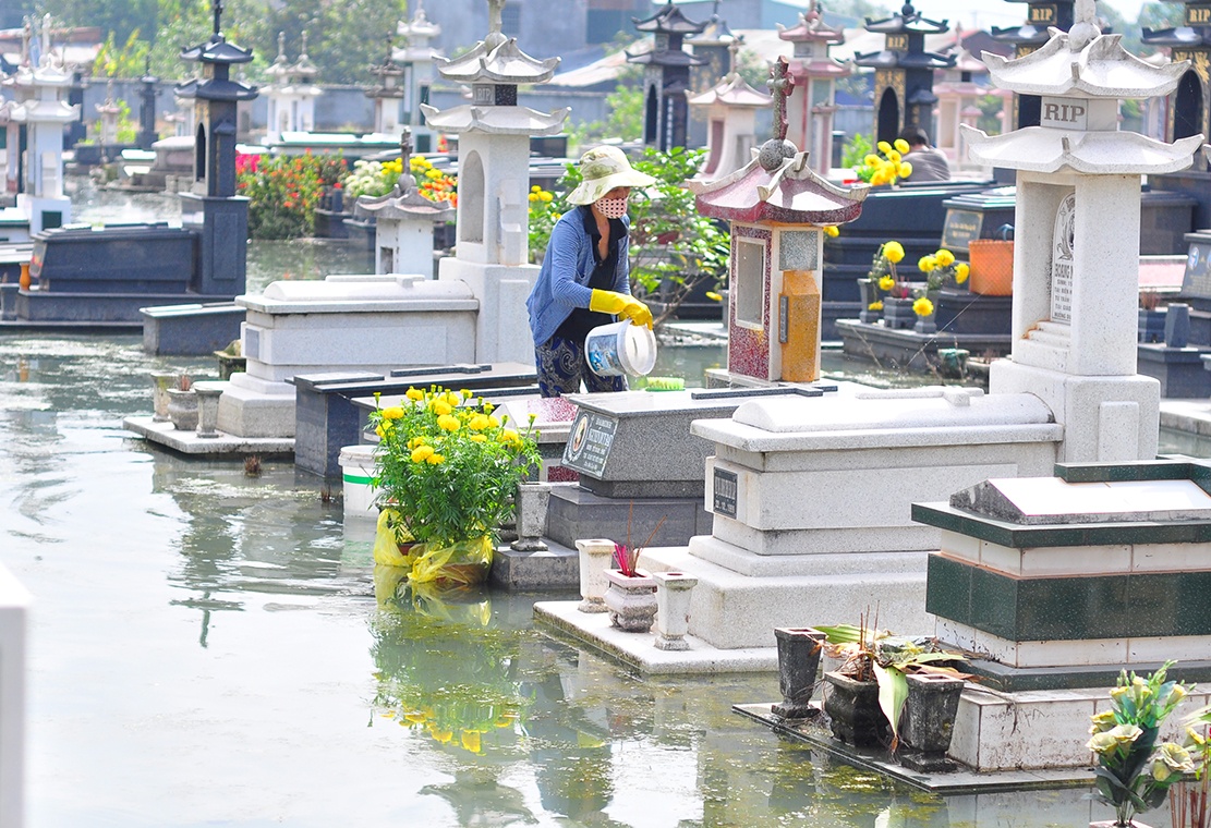 Hang nghin ngoi mo ngap trong nuoc hinh anh