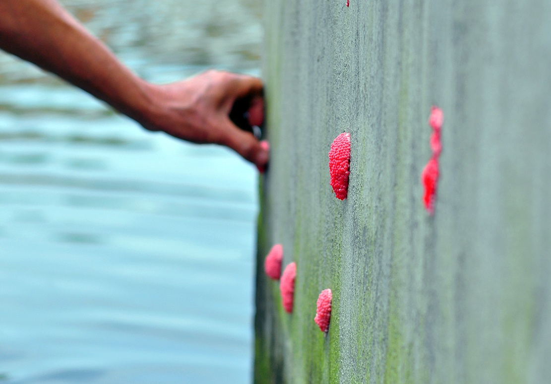 nghia dia ngap trong nuoc anh 10