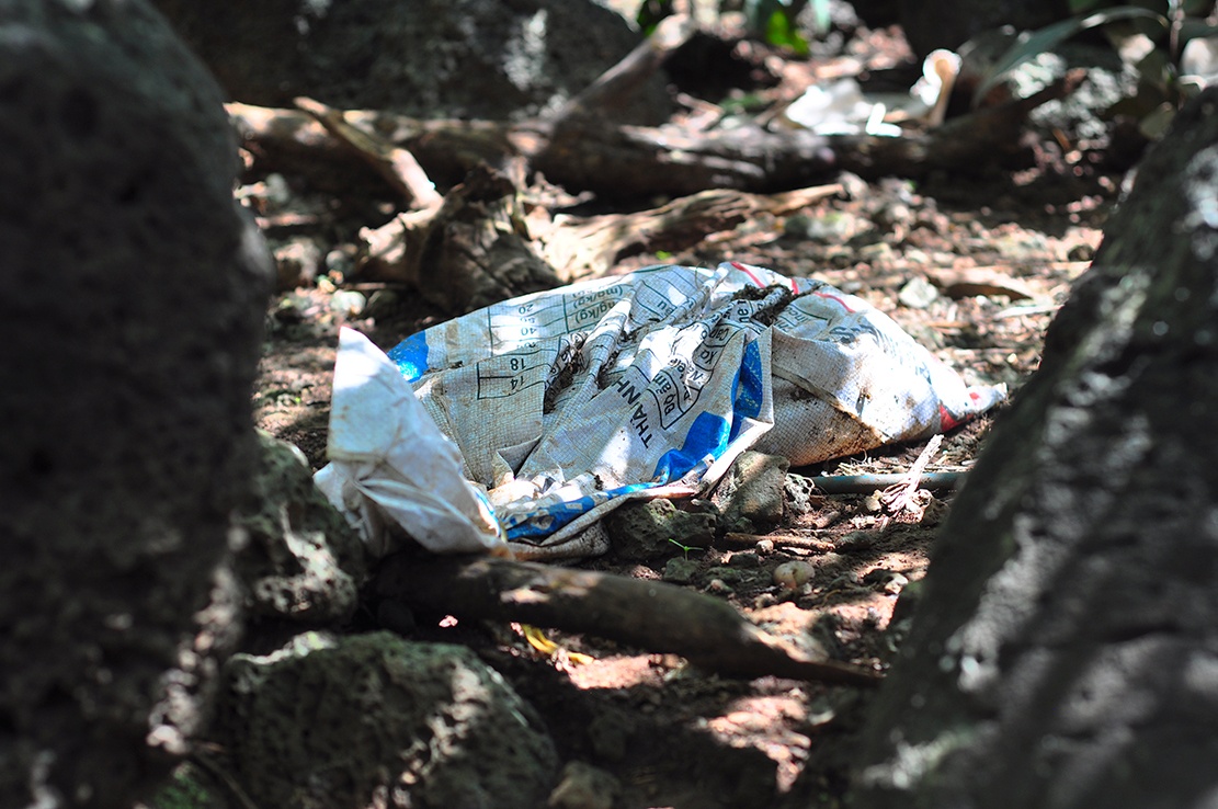 vuon gac tren nui da ong anh 5