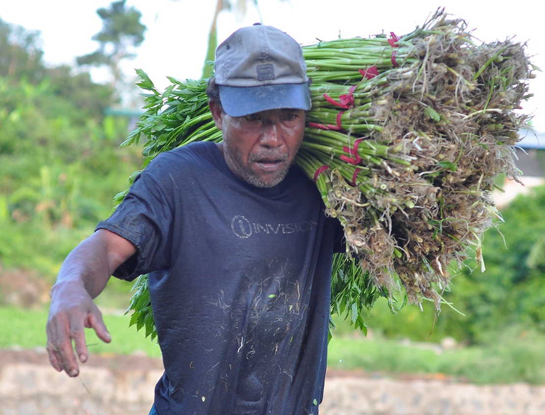 Ngam minh duoi nuoc lam thue anh 8
