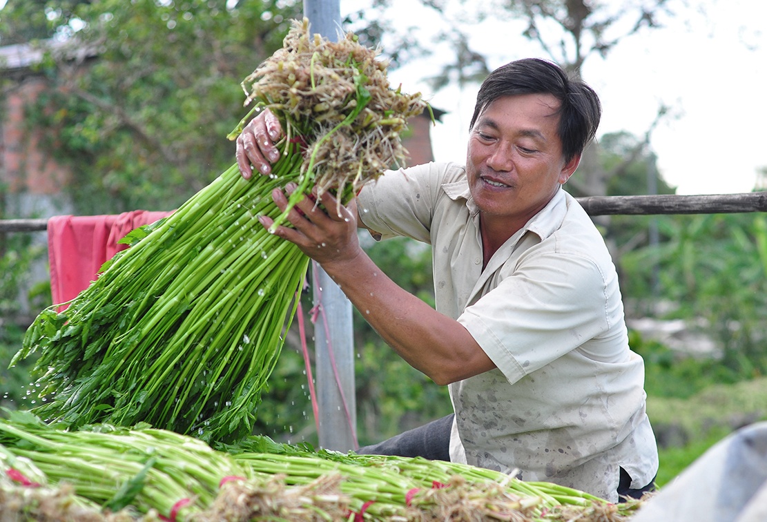 Ngam minh duoi nuoc lam thue anh 10
