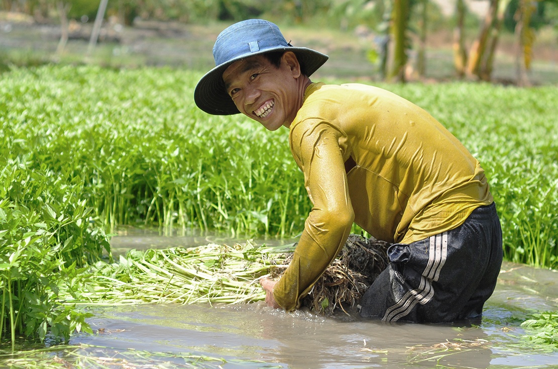 Ngam minh duoi nuoc lam thue anh 11