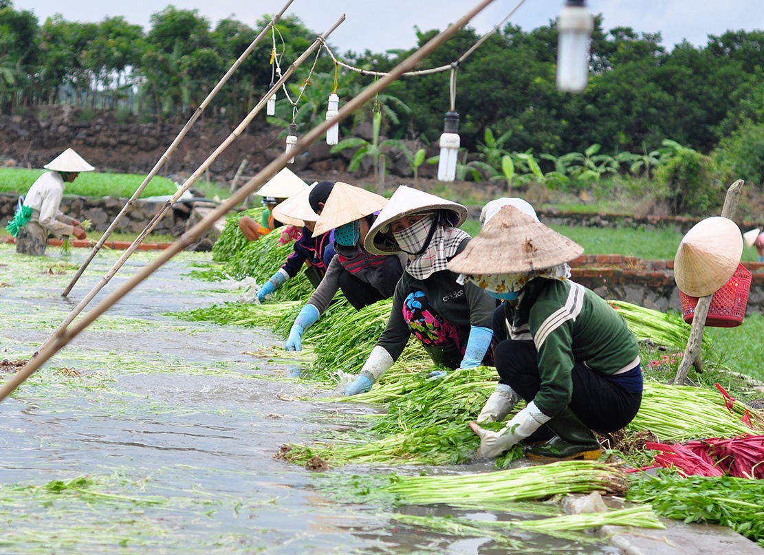 Ngam minh duoi nuoc lam thue anh 1