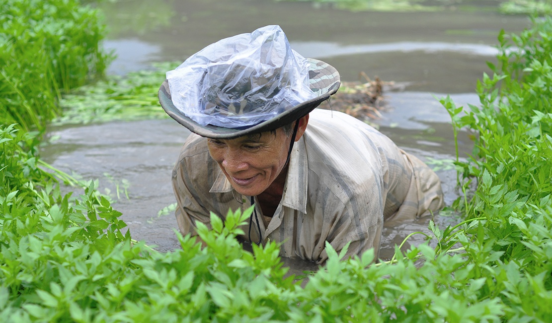 Ngam minh duoi nuoc lam thue anh 4