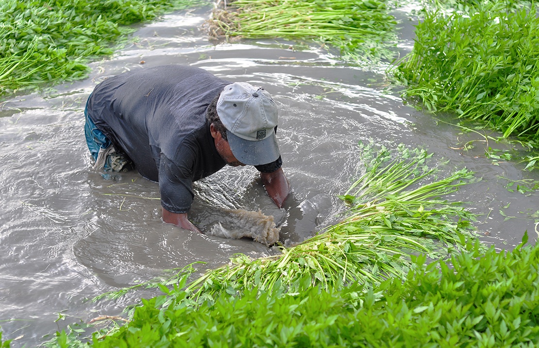 Ngam minh duoi nuoc lam thue anh 5