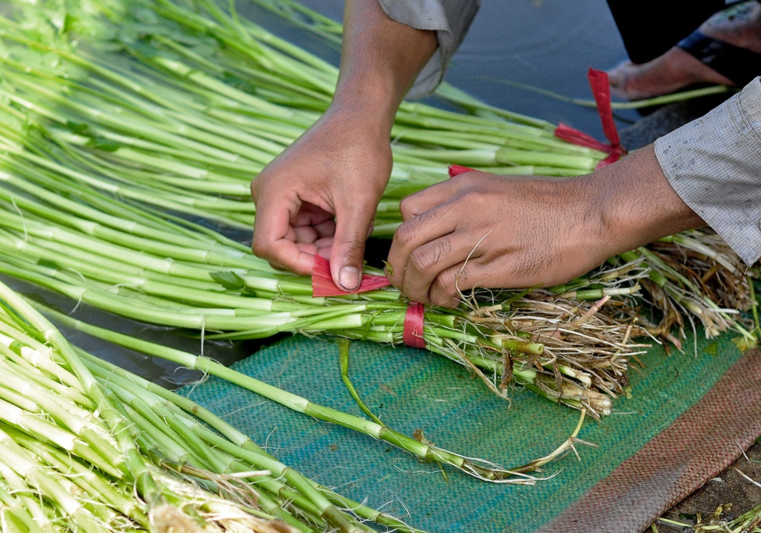 Ngam minh duoi nuoc lam thue anh 7