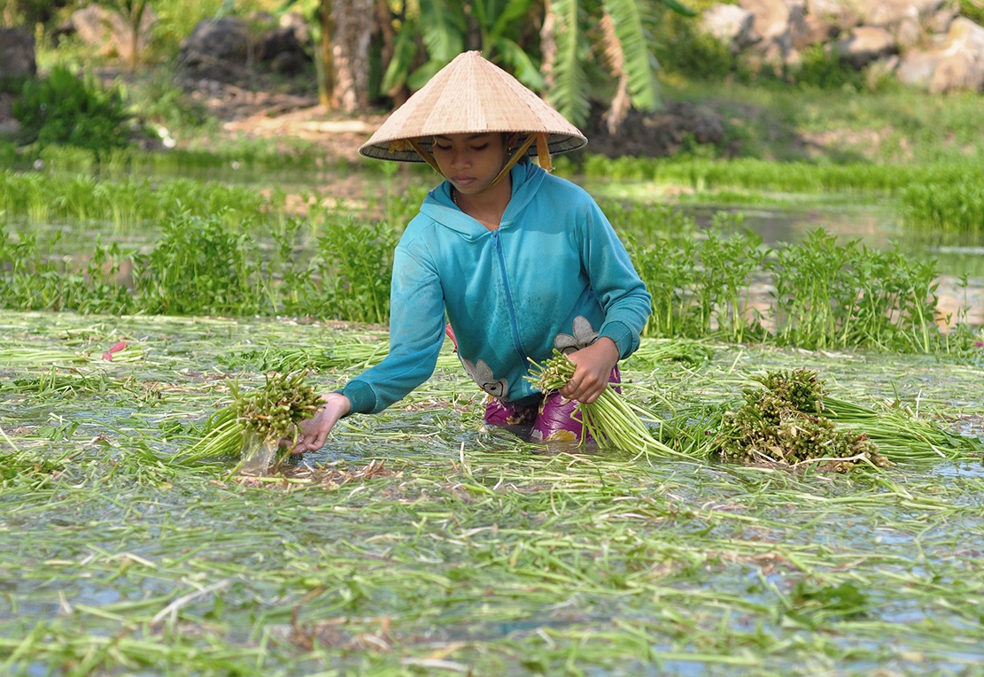 Ngam minh duoi nuoc lam thue anh 3
