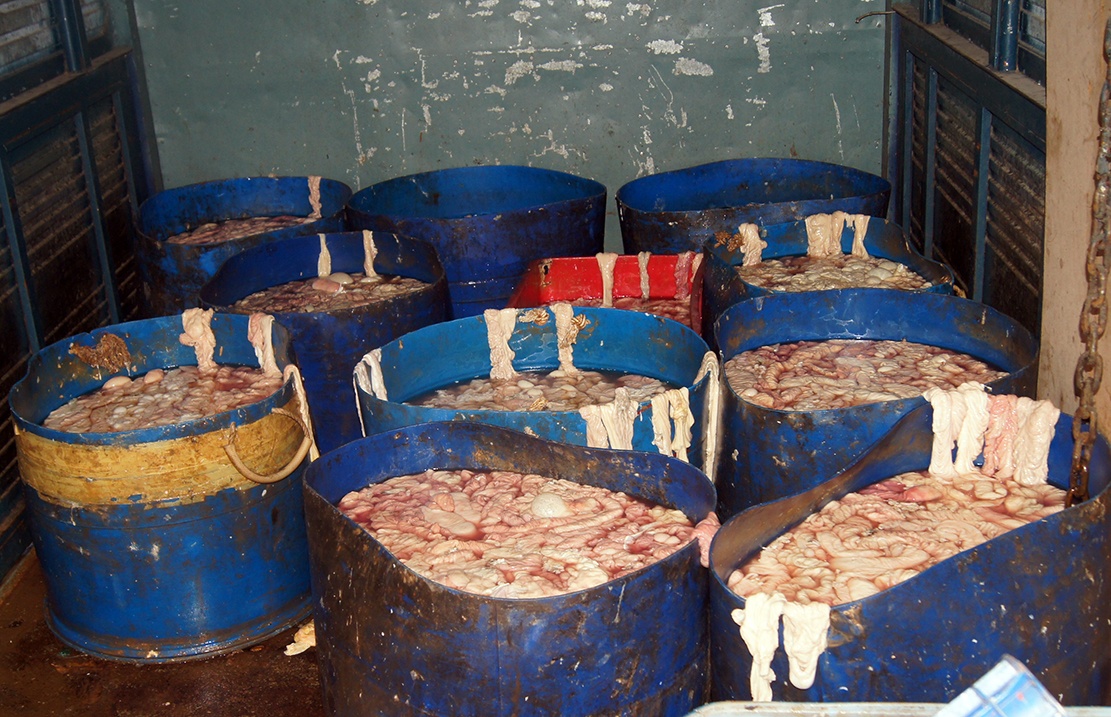 Nua tan noi tang dong vat hoi thoi trong xe tai o Binh Duong hinh anh