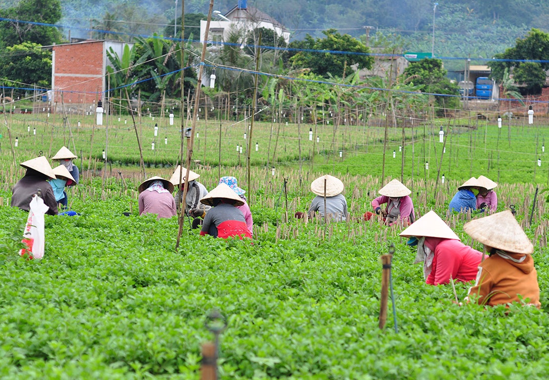 phu nu lam thue anh 3