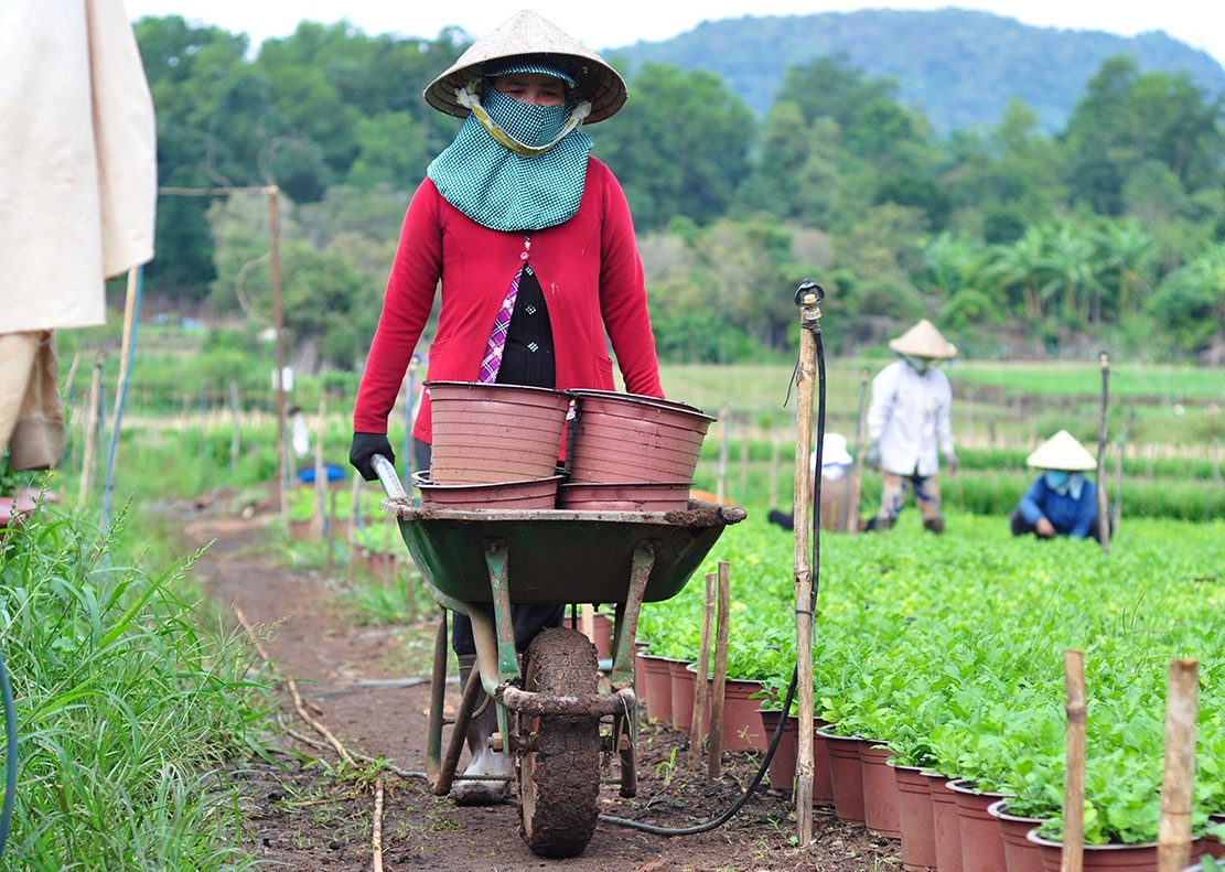 phu nu lam thue anh 7