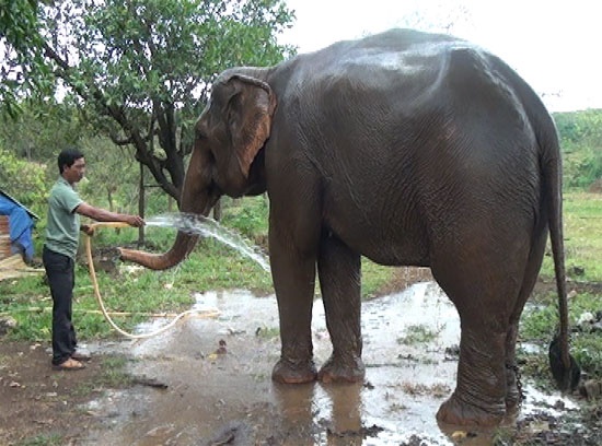 Lan dau voi ban hoang da o Viet Nam mang thai hinh anh