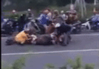 Trau bi tong chet, chuc nguoi gianh nhau xe thit giua duong hinh anh