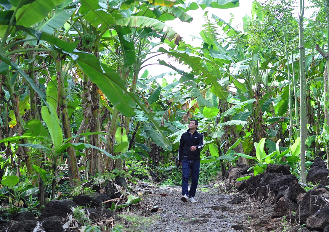 mua chuoi tren nui da anh 1