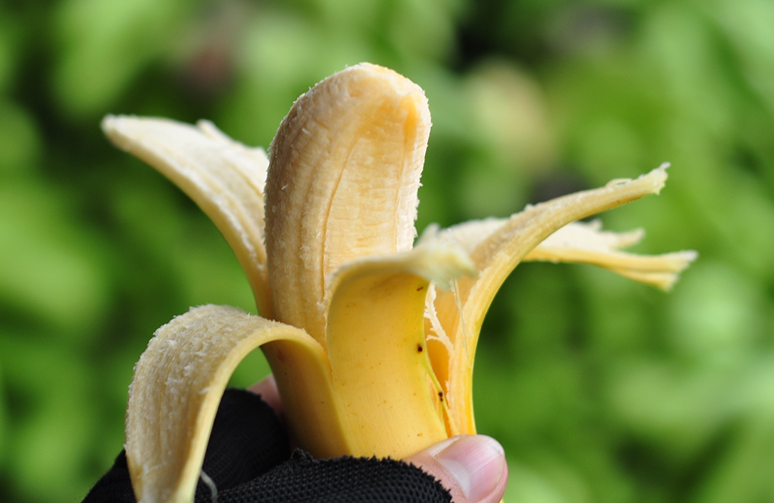 mua chuoi tren nui da anh 5