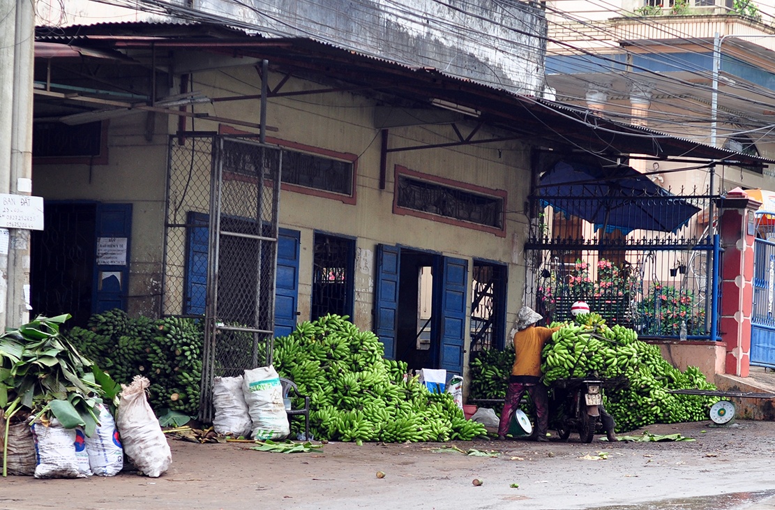 mua chuoi tren nui da anh 9