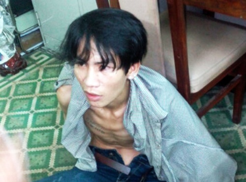 Bat nghi pham cuop cua, hiep dam chu nha sau 8 nam lan tron hinh anh