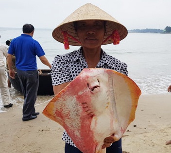 O nhiem bien mien Trung khong lot top su kien moi truong hinh anh