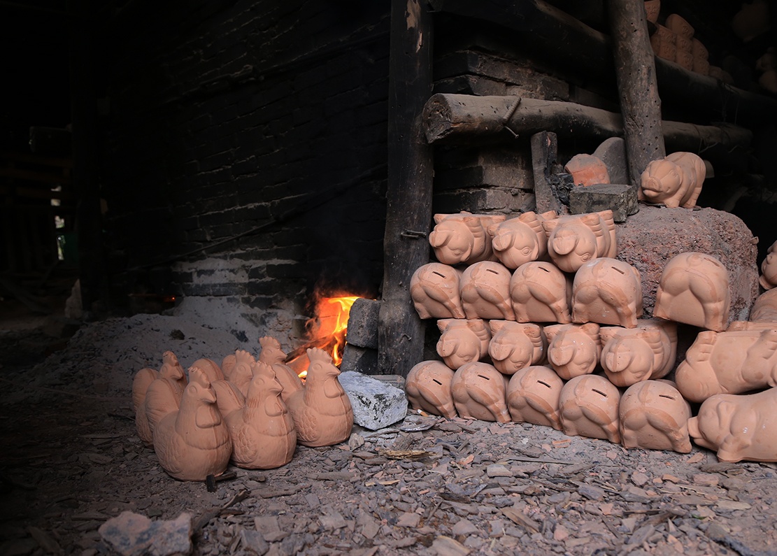 san xuat ga vang ban Tet anh 8