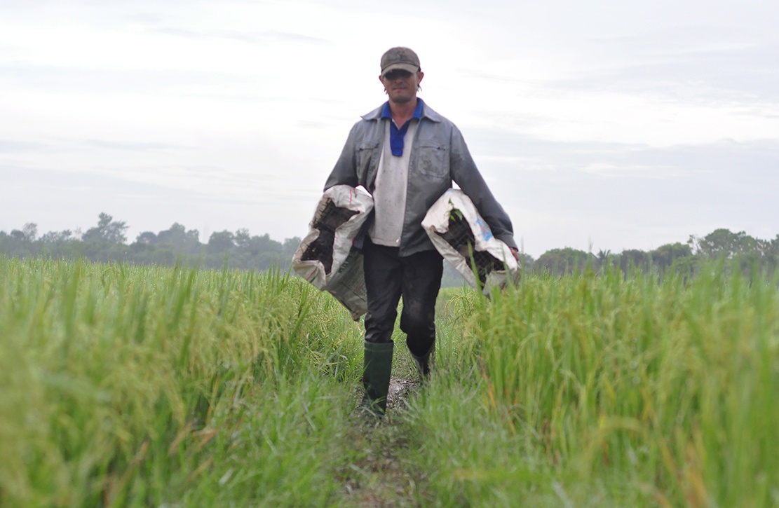 Nghe san chuot dong o Dong Nai hinh anh