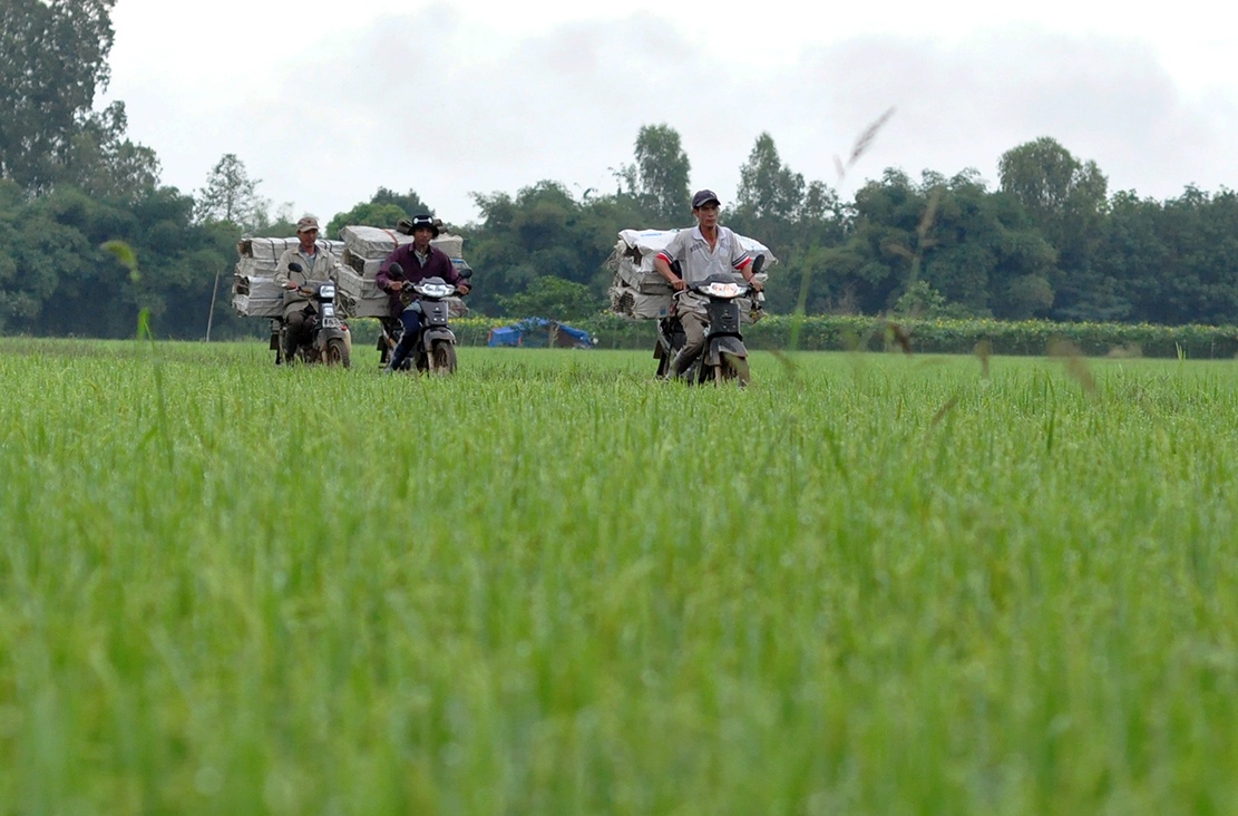 nghe san chuot dong anh 1