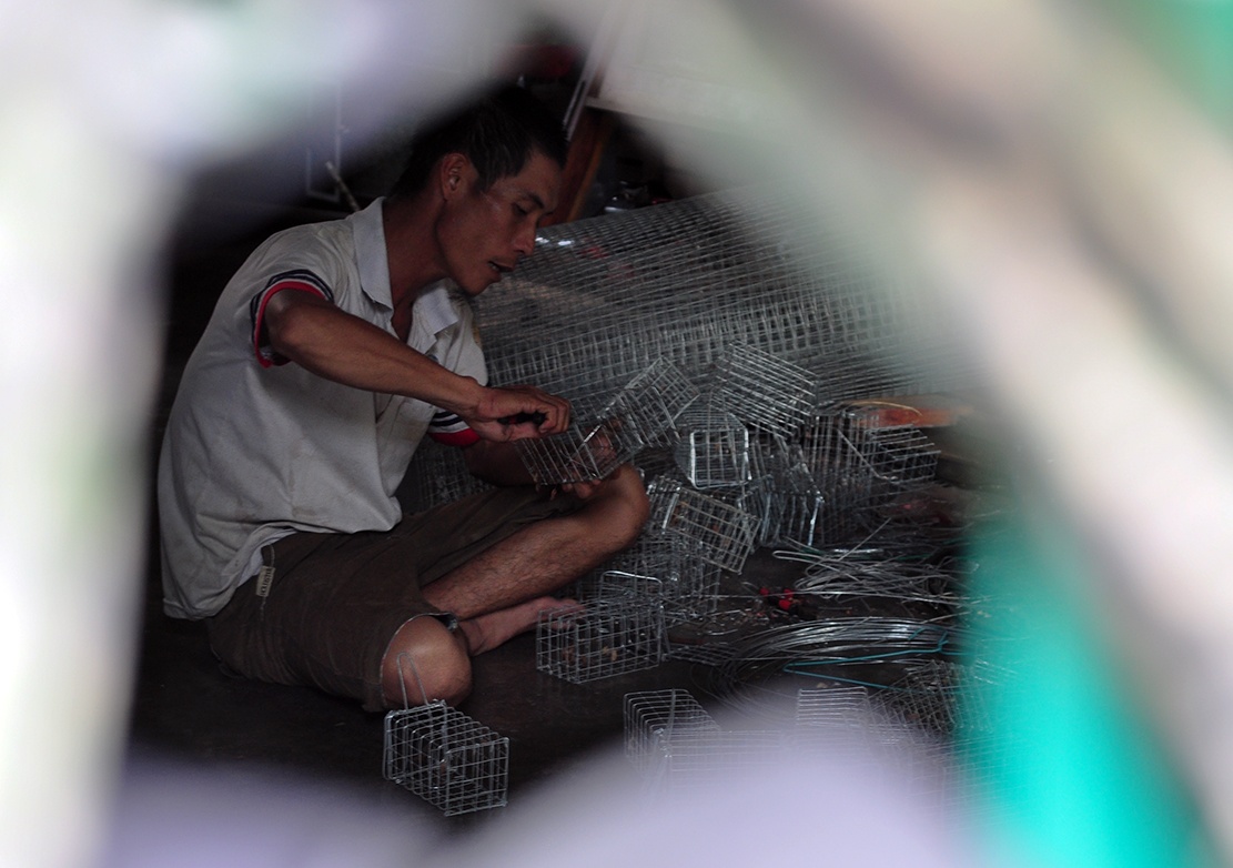 nghe san chuot dong anh 2