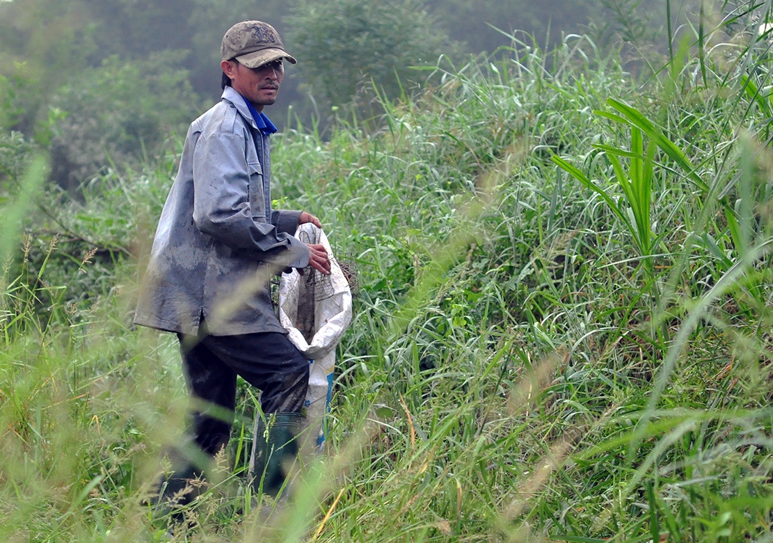 nghe san chuot dong anh 3