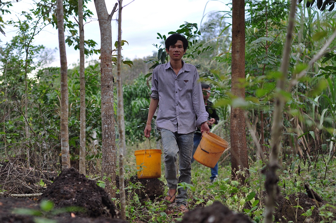 san bo cap rung anh 1