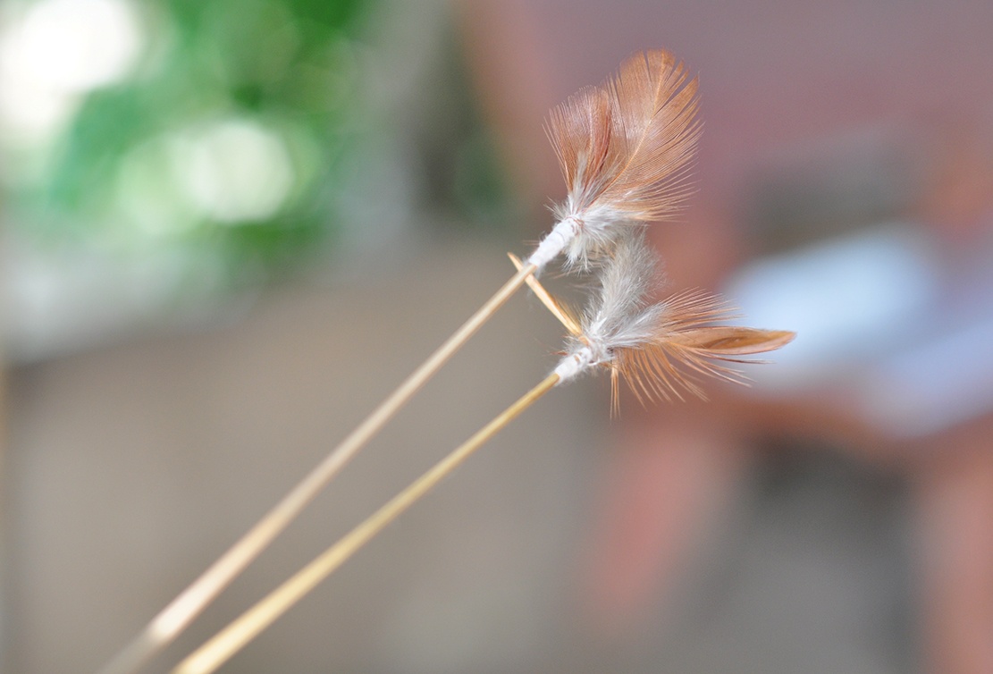 san bo cap rung anh 2