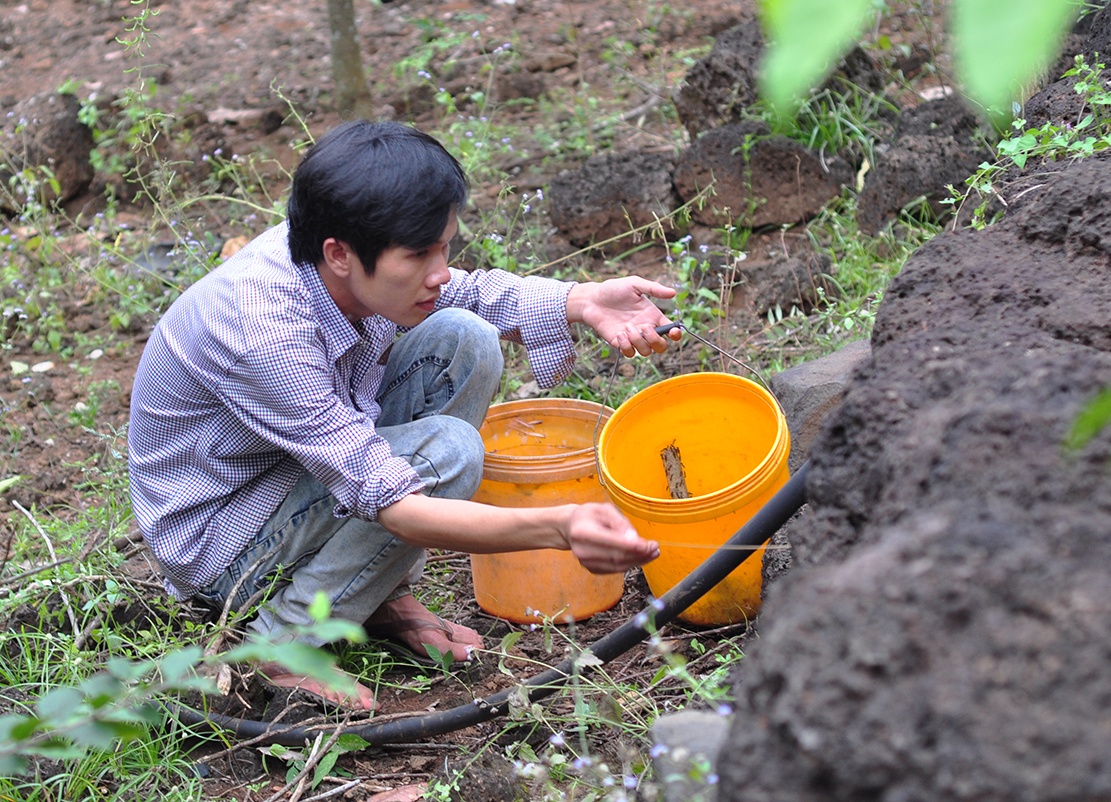 san bo cap rung anh 4