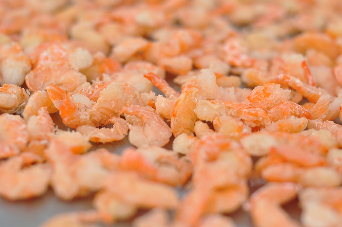 nuoi tom cang xanh anh 11