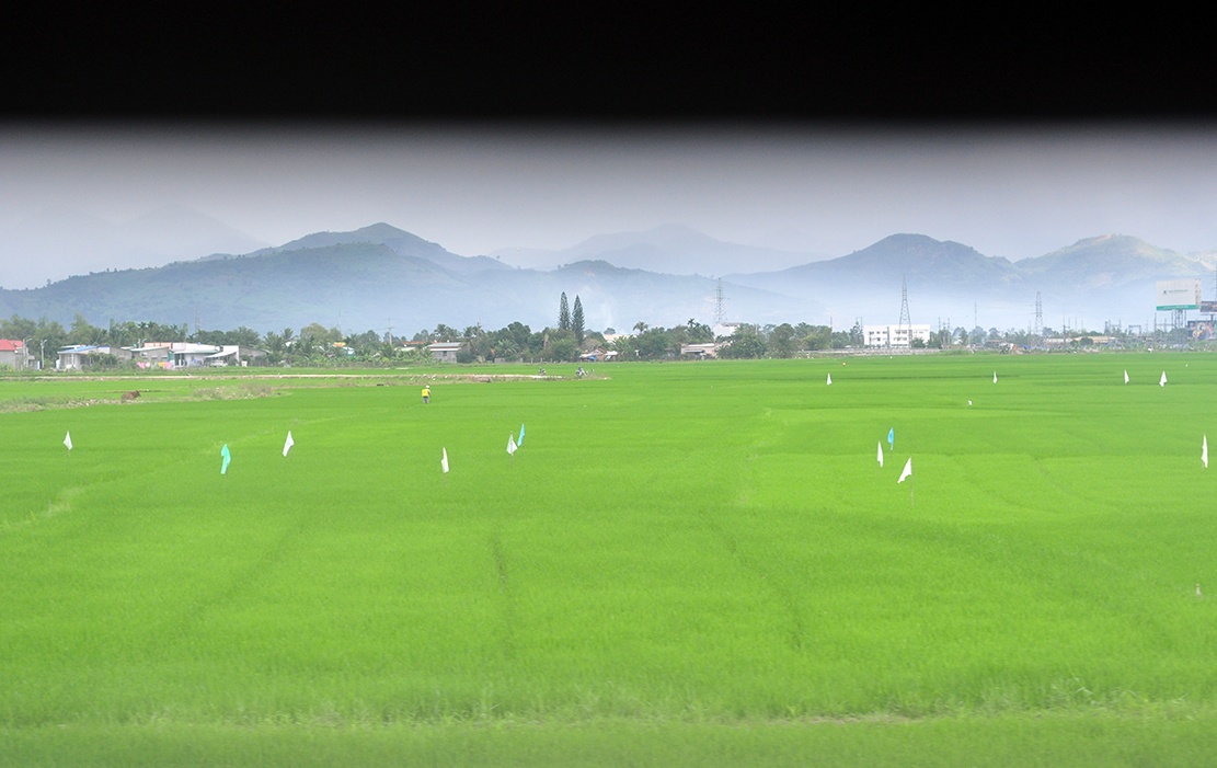 tren chuyen tau Tet anh 14