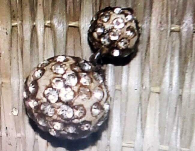 xac co gai xam hoa hong anh 2