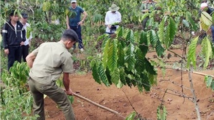 Khoi to nguoi phu nu cung nhan tinh phi tang xac chong hinh anh