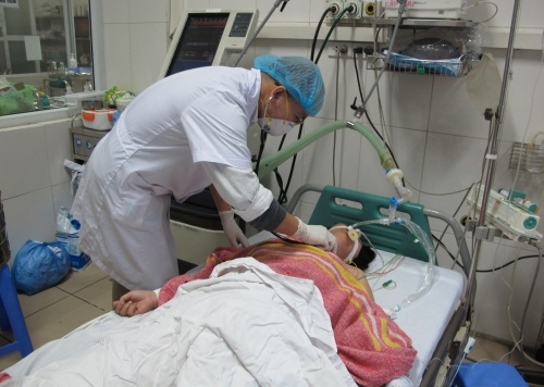 Canh bao cum gia cam tu Trung Quoc xam nhap vao Viet Nam hinh anh