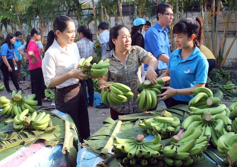Thanh nien Dong Nai ‘giai cuu’ chuoi giup nong dan hinh anh