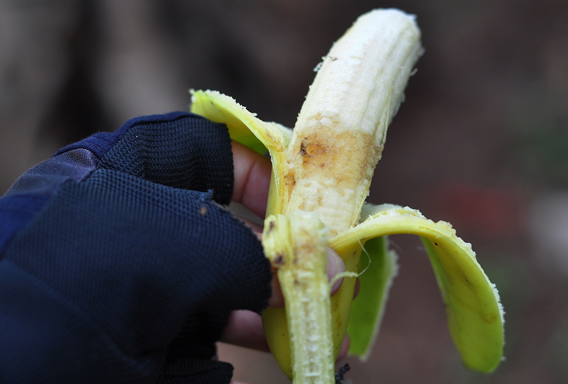 chuoi chin ruc vi Trung Quoc khong mua anh 10