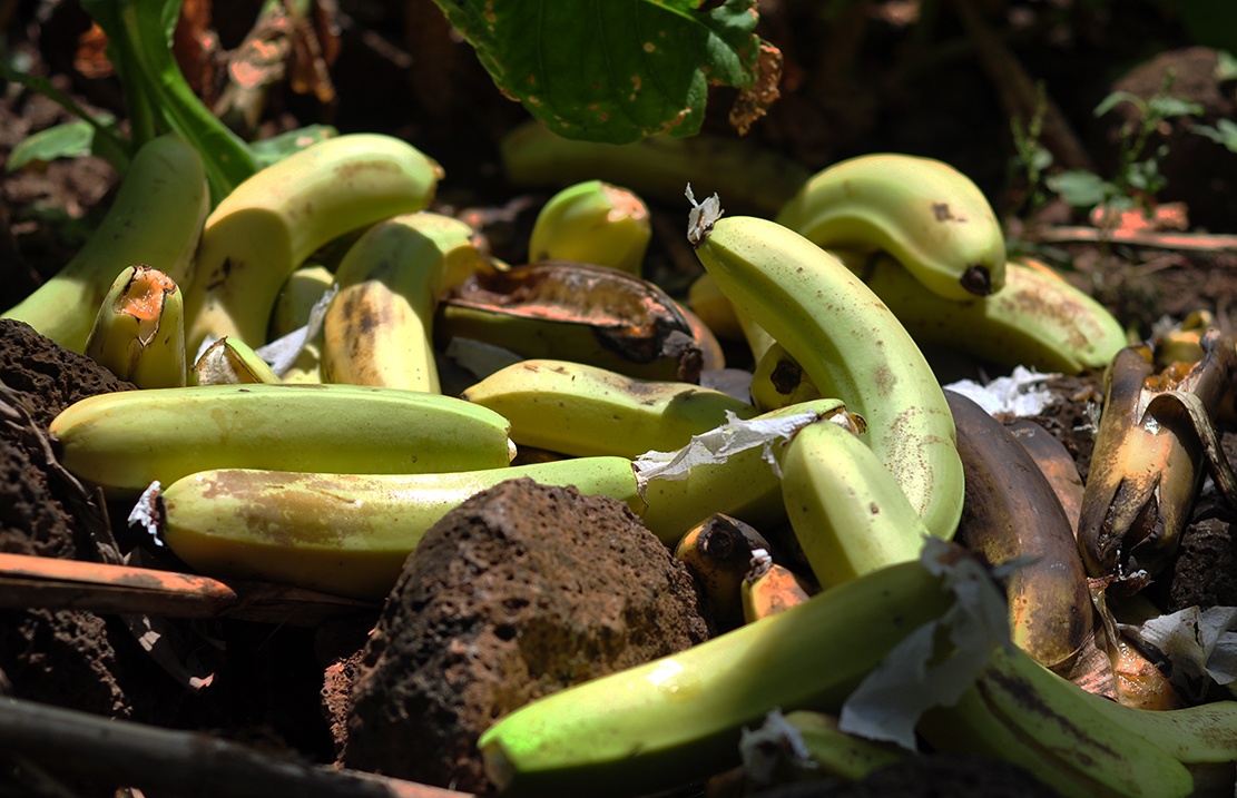 chuoi chin ruc vi Trung Quoc khong mua anh 8