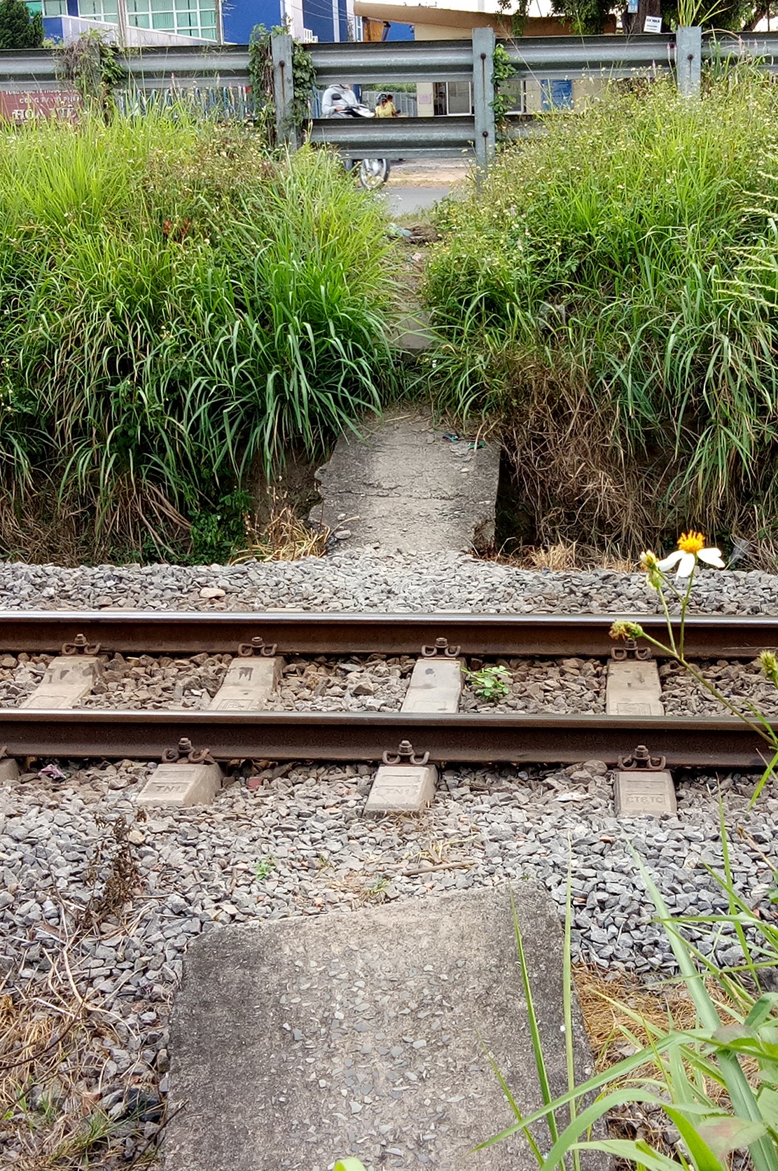 duong ngang tu than anh 11